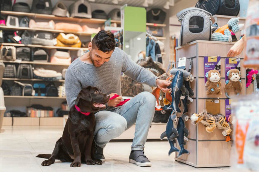 Pet Supplies Fulfillment Across Channels: Selling on Amazon, Chewy, and Shopify Simultaneously